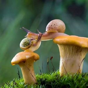 Meet your Posher, Ellyn